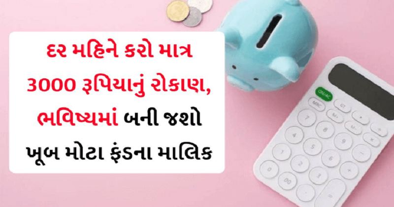 Invest only 3000 rupees every month